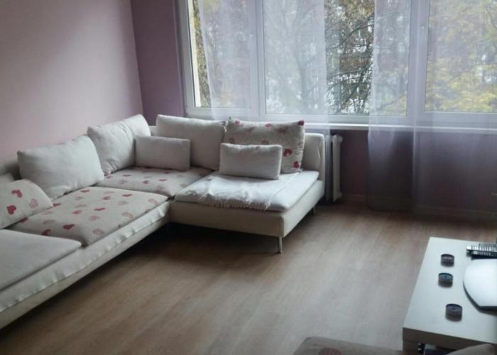 Cosy place close to the Center