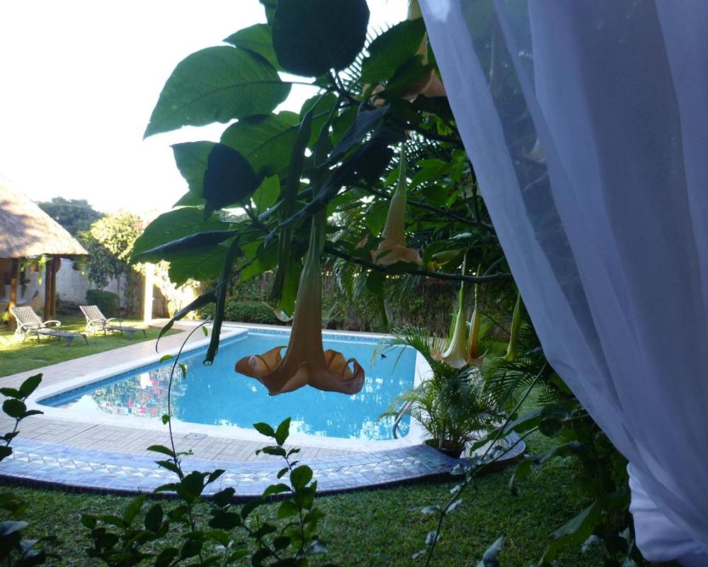 фото FIGTREE GUESTHOUSE
