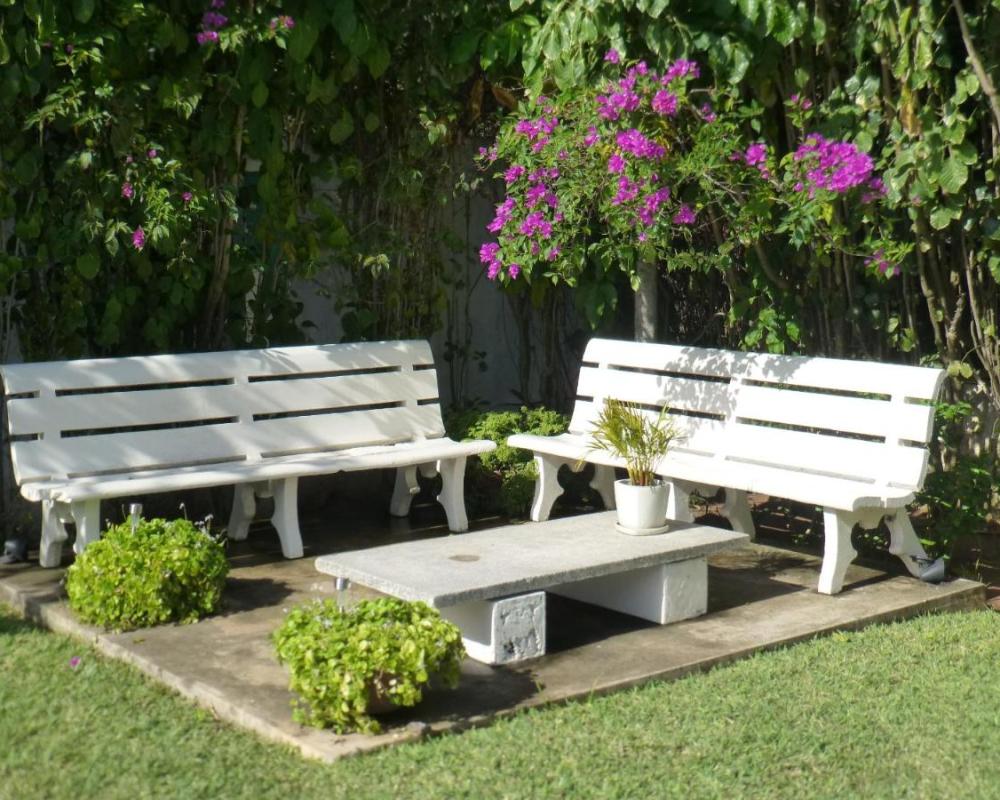 фото FIGTREE GUESTHOUSE