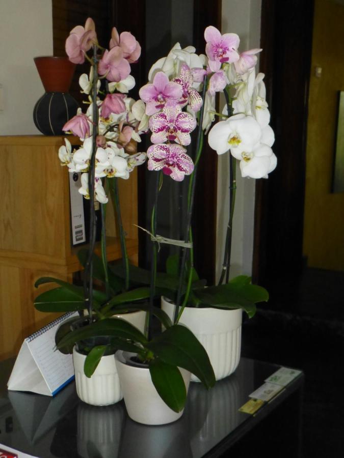 фото FIGTREE GUESTHOUSE