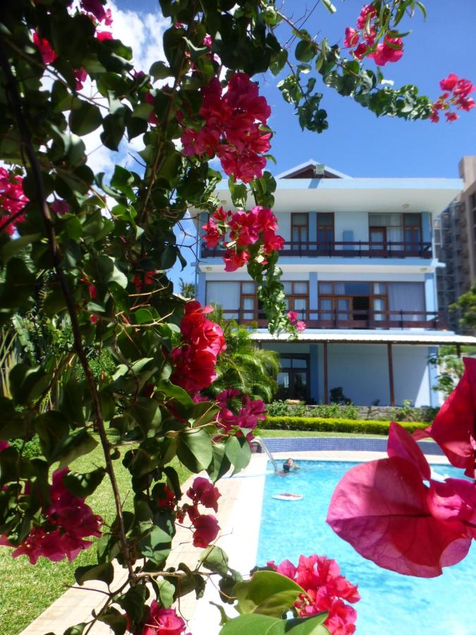 фото FIGTREE GUESTHOUSE