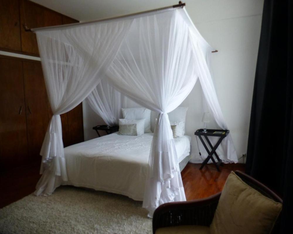 фото FIGTREE GUESTHOUSE