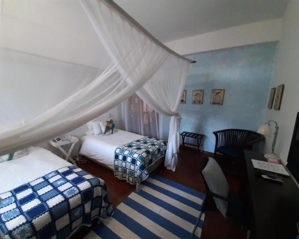 фото FIGTREE GUESTHOUSE