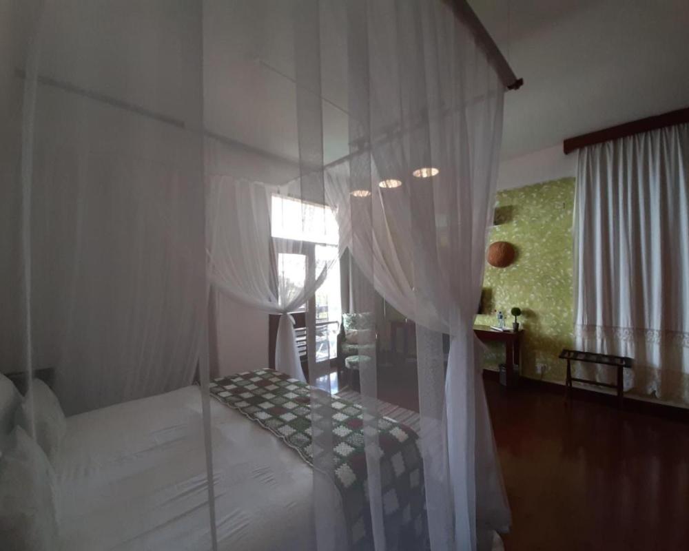 фото FIGTREE GUESTHOUSE