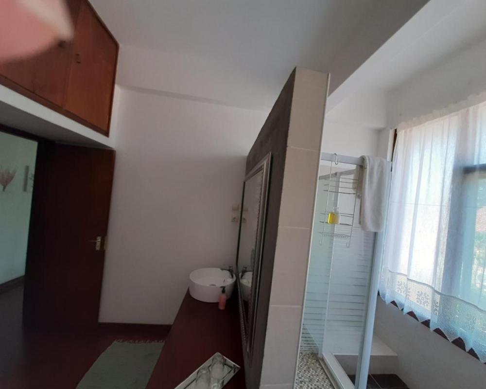 фото FIGTREE GUESTHOUSE