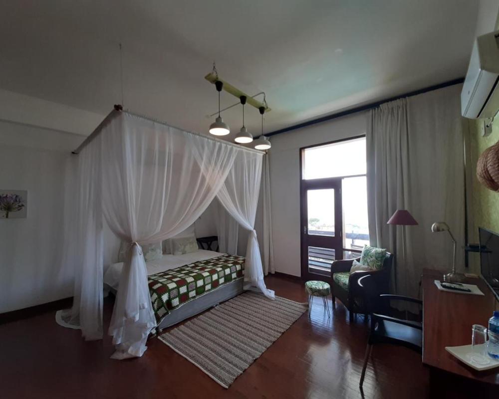 фото FIGTREE GUESTHOUSE