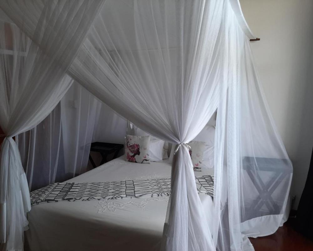 фото FIGTREE GUESTHOUSE