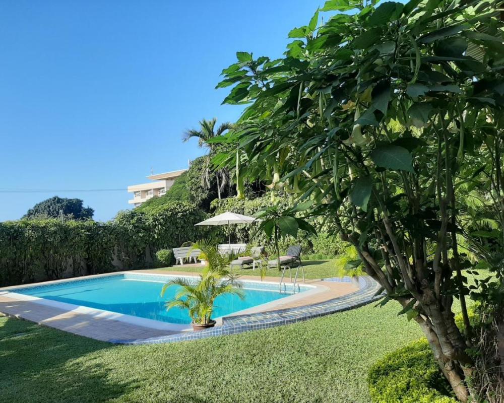 фото FIGTREE GUESTHOUSE