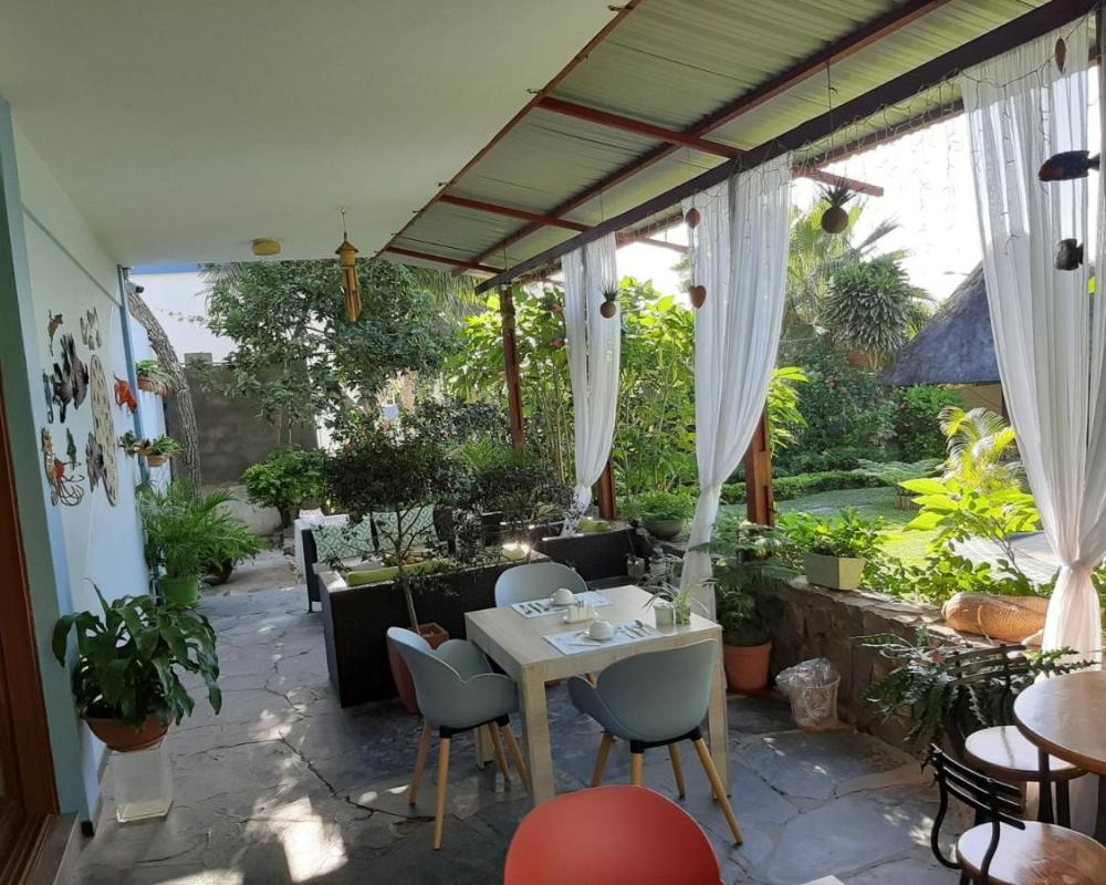 фото FIGTREE GUESTHOUSE