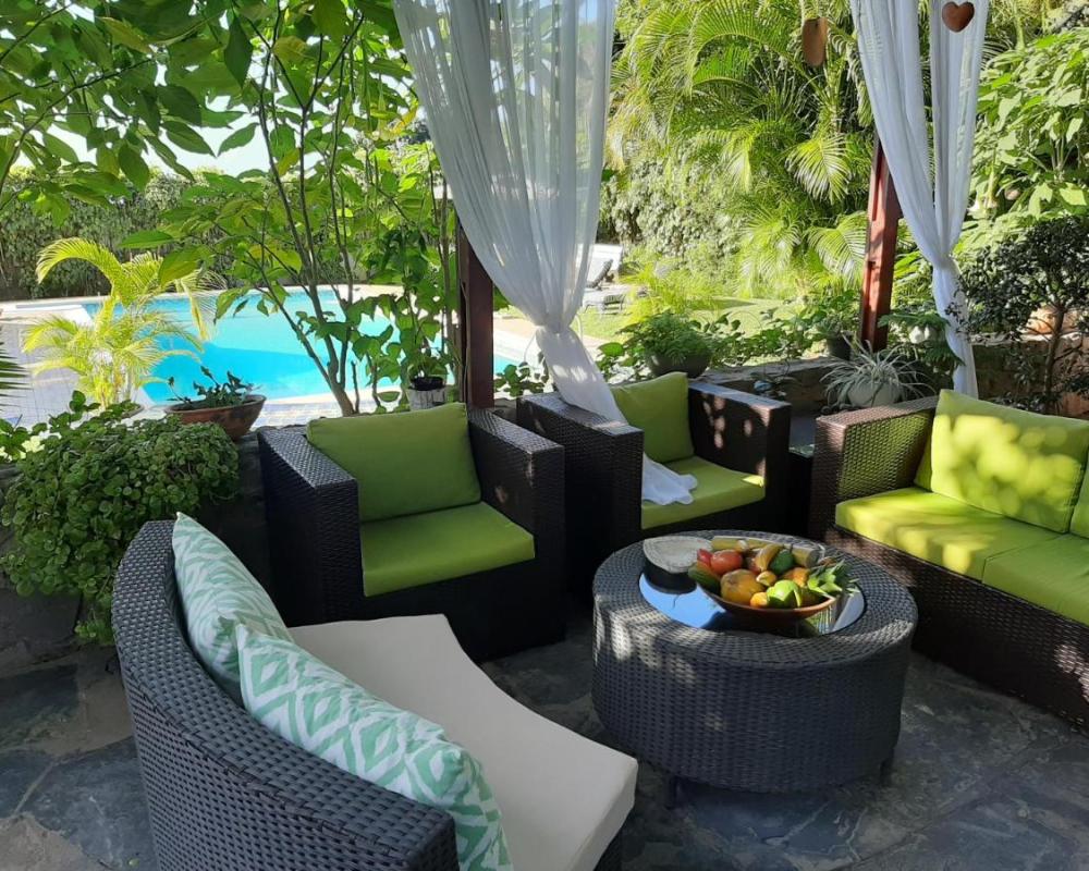 фото FIGTREE GUESTHOUSE