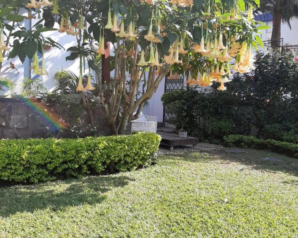фото FIGTREE GUESTHOUSE