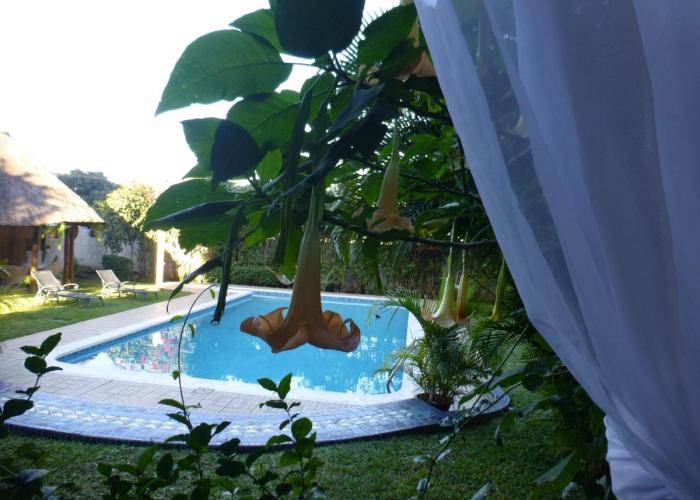 FIGTREE GUESTHOUSE
