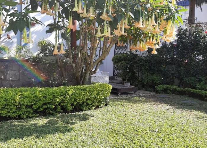 FIGTREE GUESTHOUSE