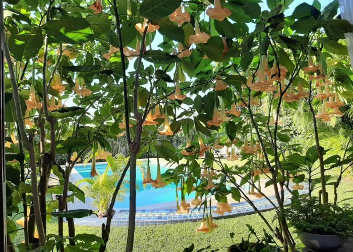 FIGTREE GUESTHOUSE