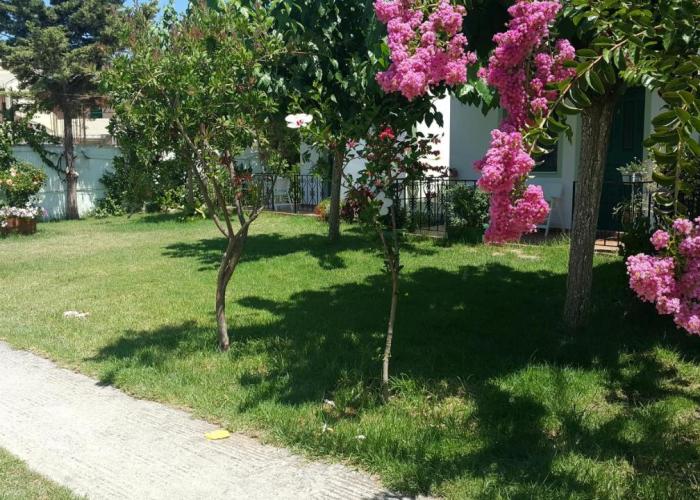 Ampeli Apartments