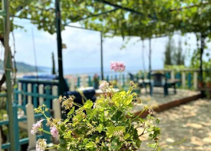 Guesthouse Boungainvillea