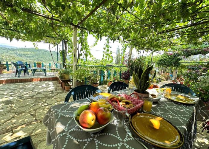 Guesthouse Boungainvillea