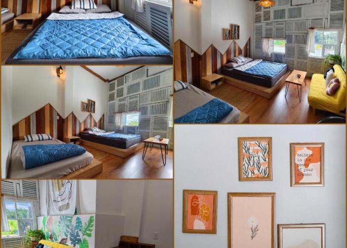 Sea Urchin Homestay
