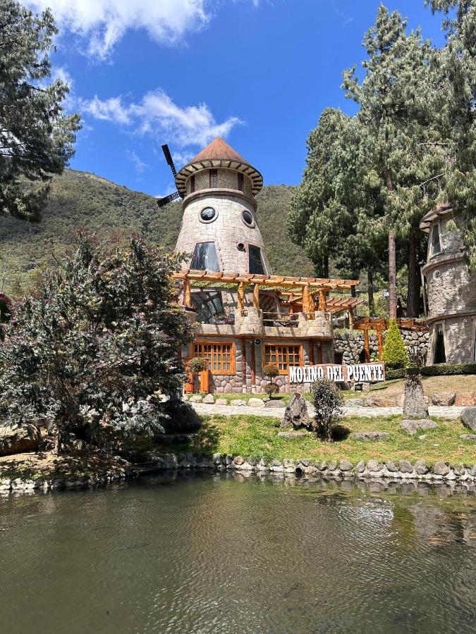 фото MOLINO DEL PUENTE