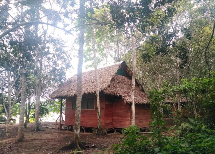 Majacho`s House