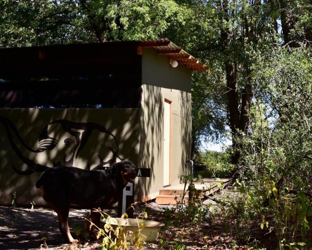 фото Phazama Farm