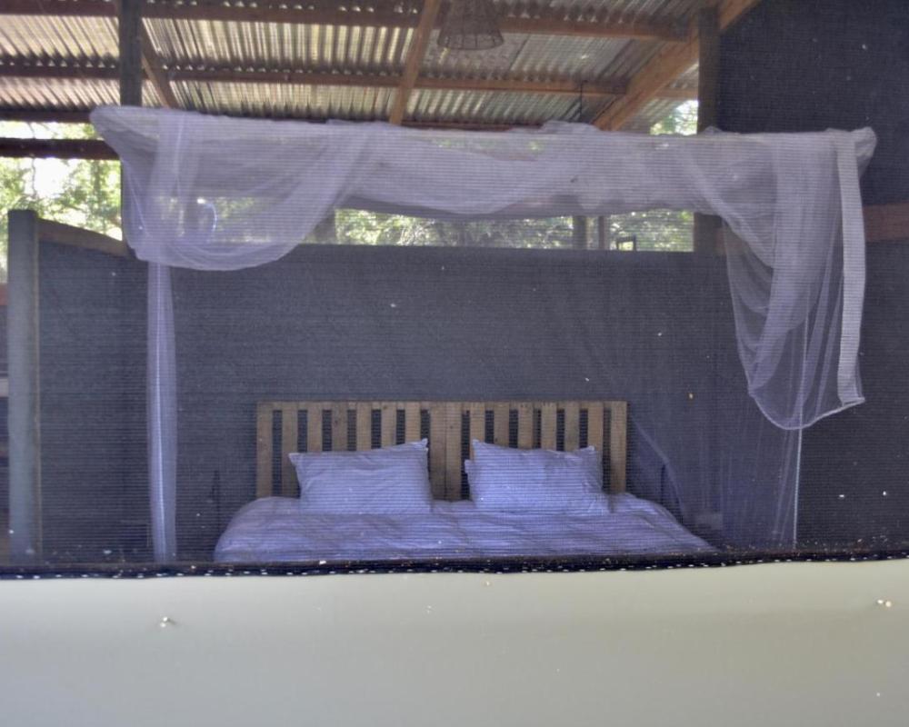фото Phazama Farm