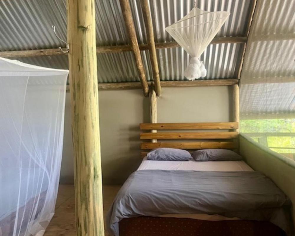 фото Phazama Farm