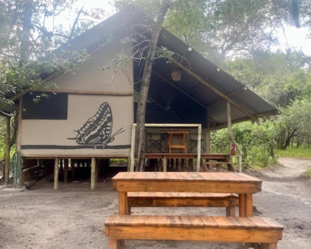 фото Phazama Farm