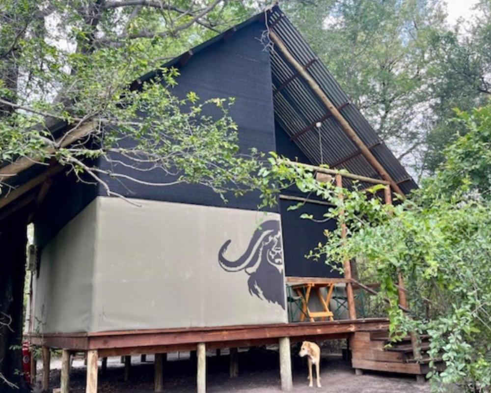 фото Phazama Farm