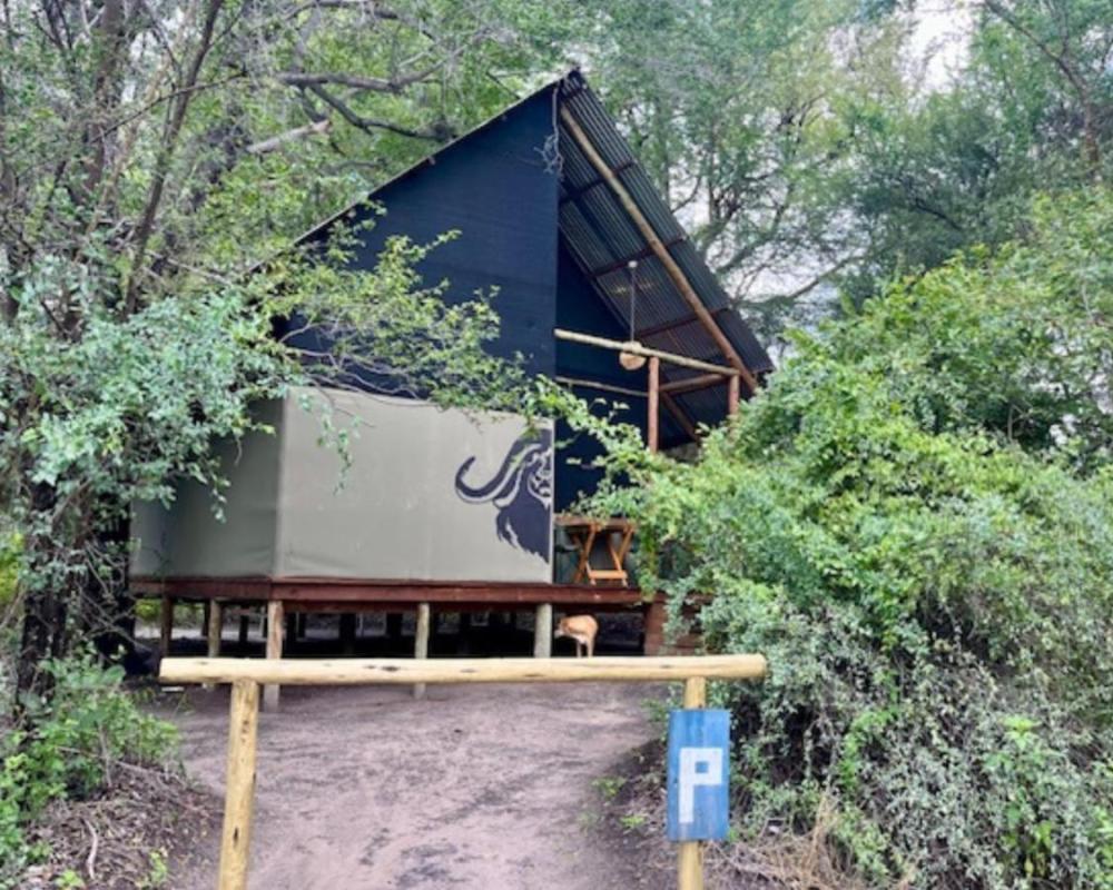 фото Phazama Farm