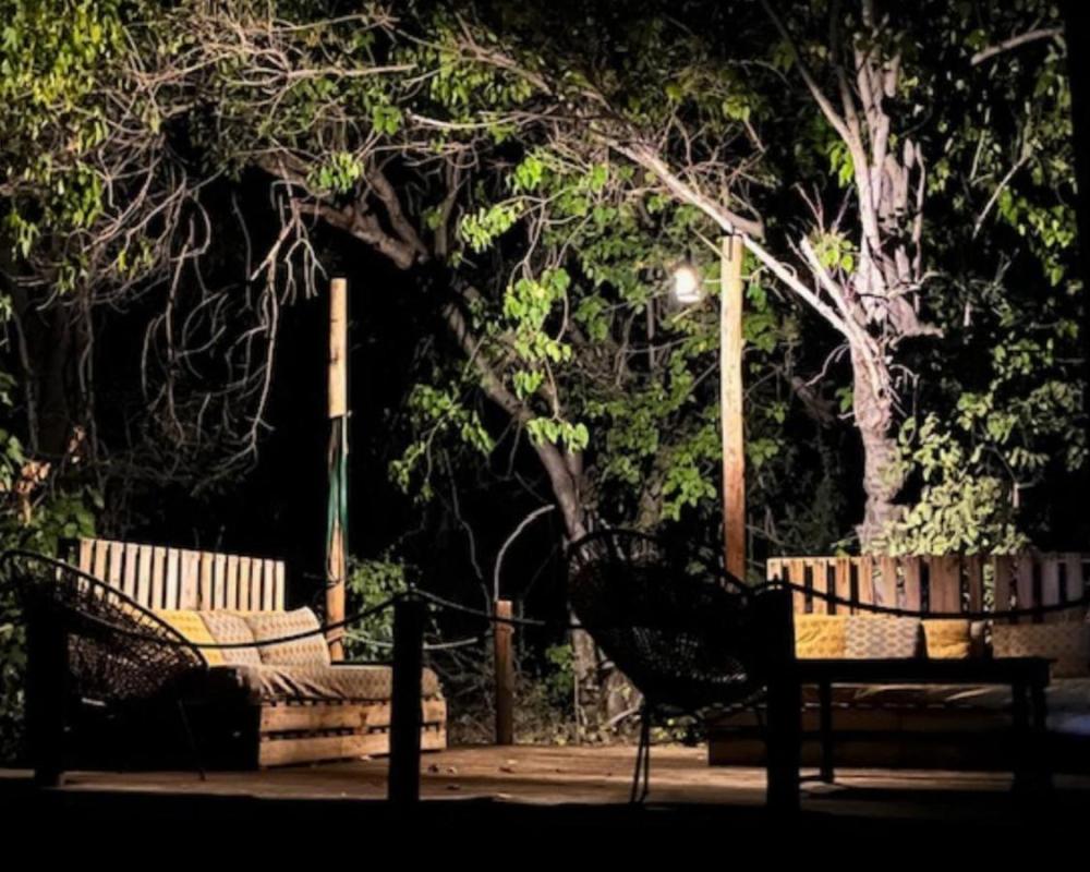 фото Phazama Farm