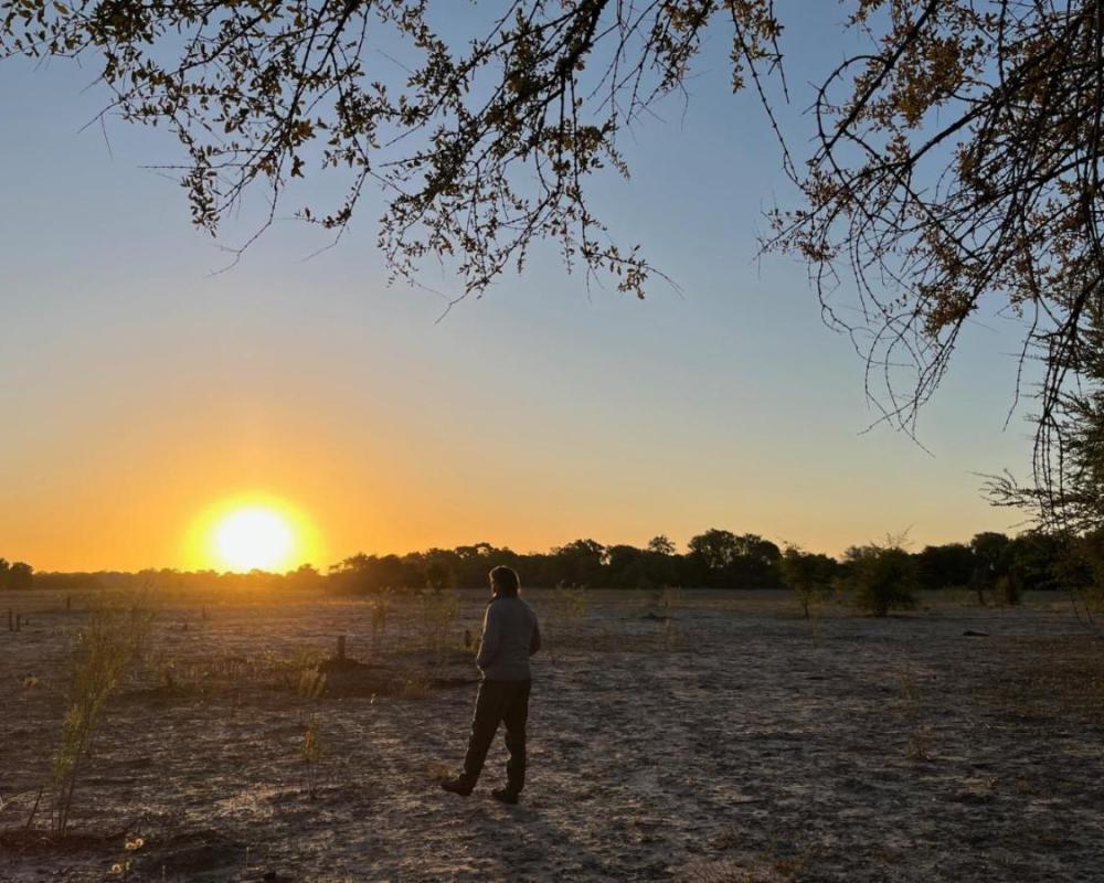 фото Phazama Farm