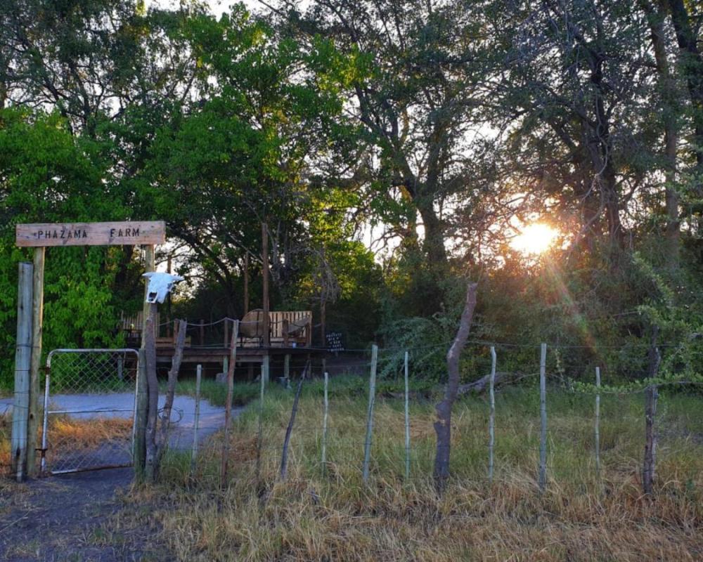 фото Phazama Farm