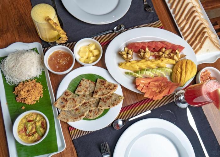 Ayur Ayur Resort & Ayurveda Retreat
