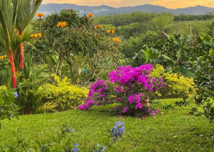 Hotel Boutique La Ceiba