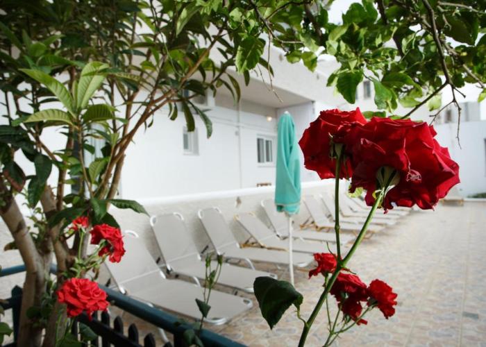 Spacious Apartment in Plakias