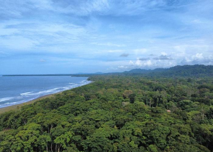 Wildlife Lodge Cahuita