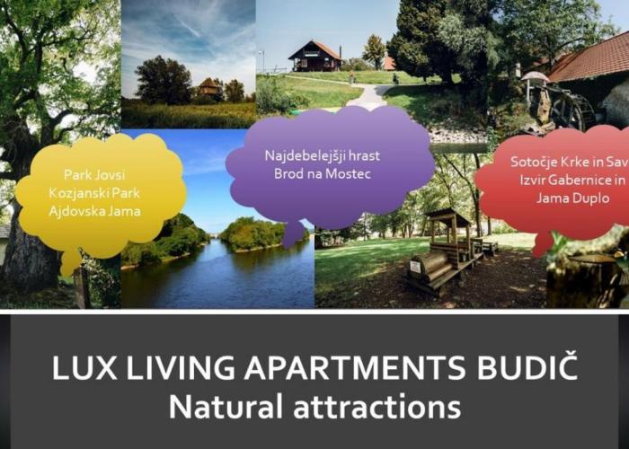 Lux Living Apartments BUDIČ near Terme Čatež