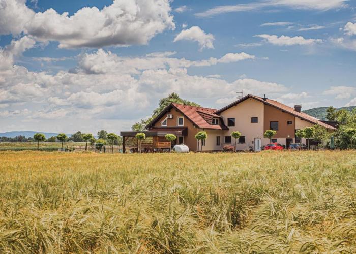Lux Living Apartments BUDIČ near Terme Čatež
