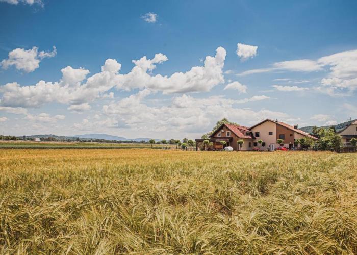 Lux Living Apartments BUDIČ near Terme Čatež