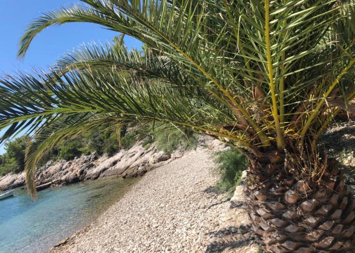 Holiday Home Island View - Tudorovica