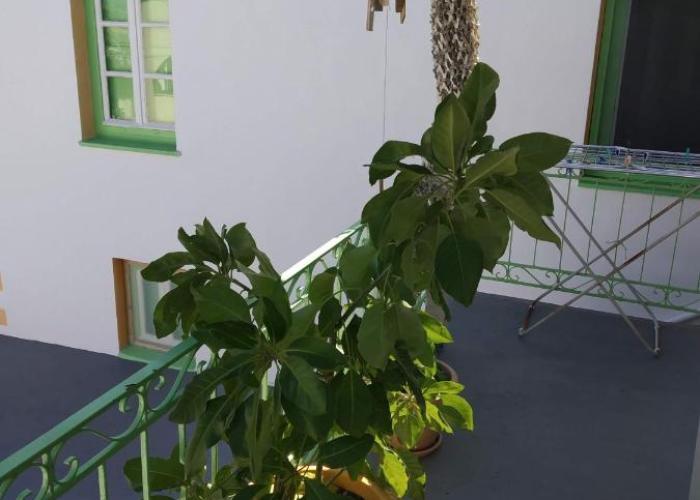 Vaggelis Traditional House