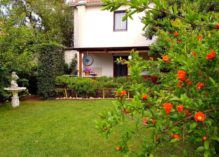 Apartment Greenhill