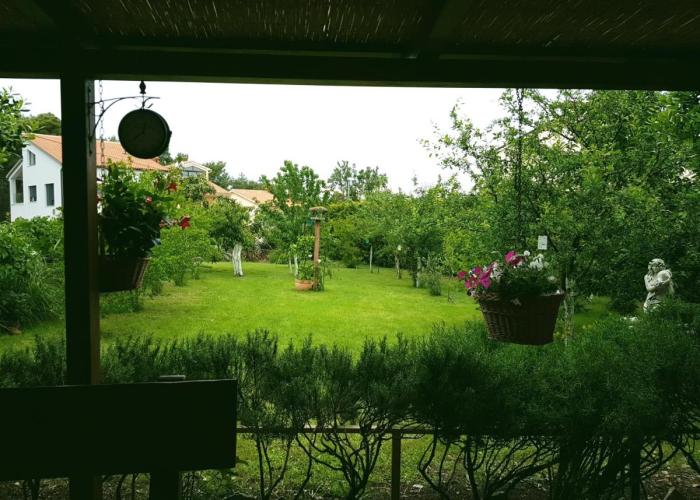 Apartment Greenhill