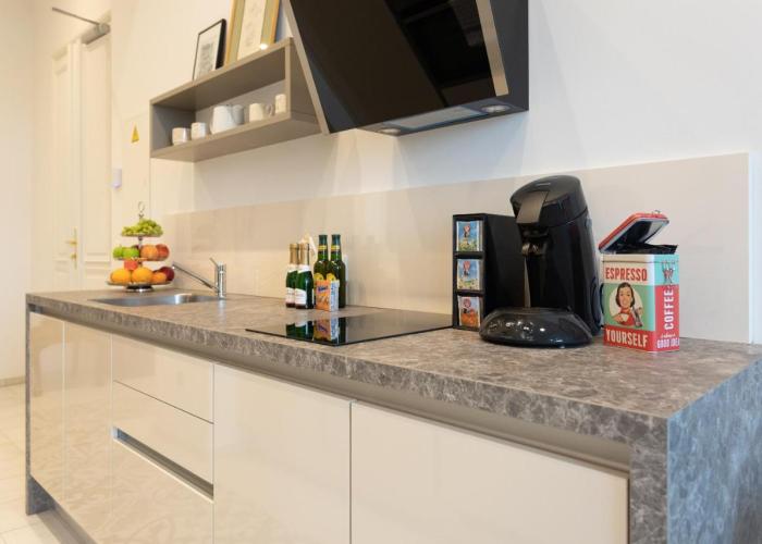 BOUTIQUE RESIDENCES at GAUDENZDORFER