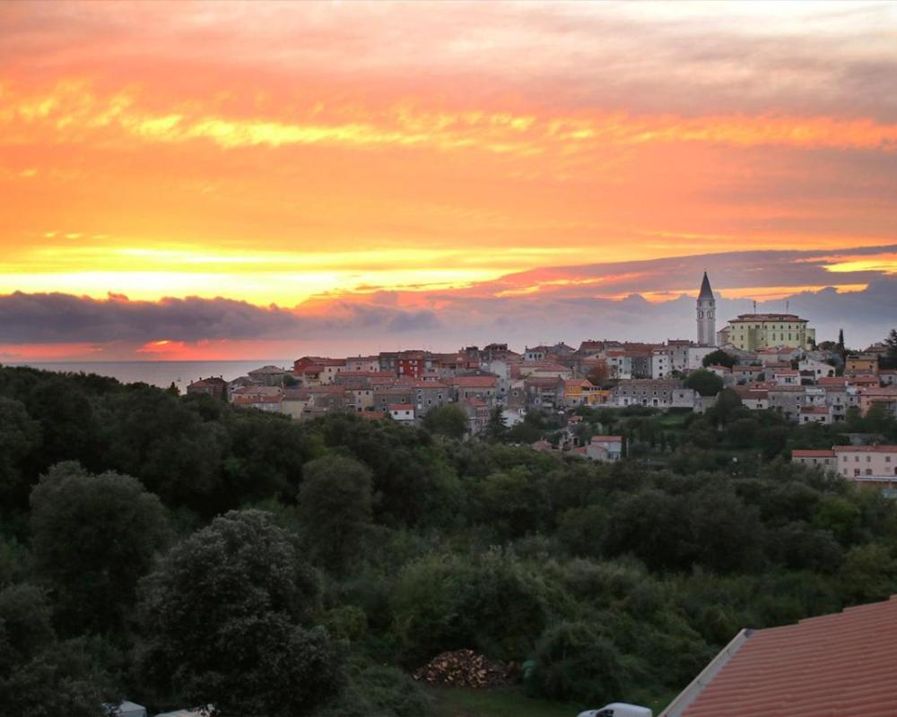 фото Goran 2