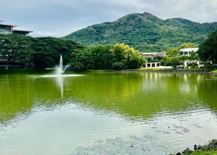 PICO DE LORO RESORT CONDOTEL