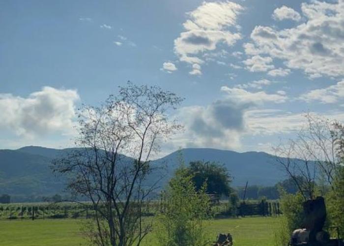 Finca La Secundina