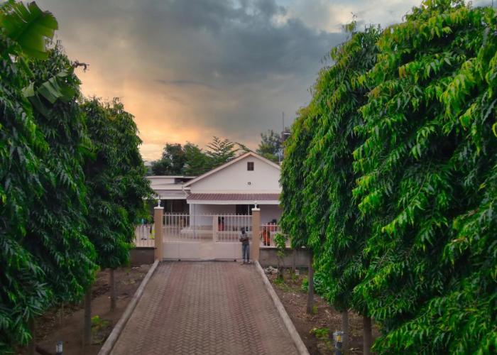 Kilimanjaro Lyimo's Country House2