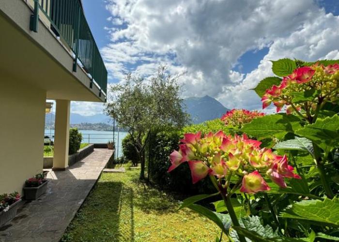 Ortensia Lake Como - perfect for couple and pets